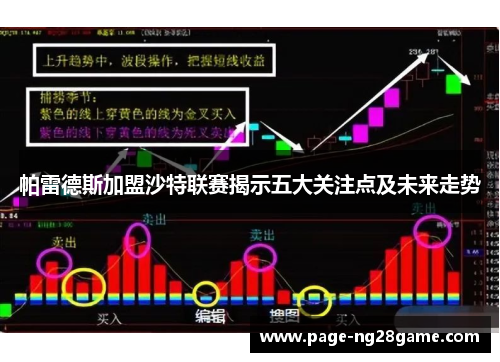 帕雷德斯加盟沙特联赛揭示五大关注点及未来走势