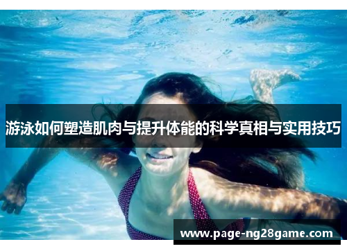 游泳如何塑造肌肉与提升体能的科学真相与实用技巧