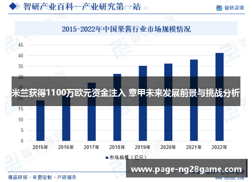 米兰获得1100万欧元资金注入 意甲未来发展前景与挑战分析