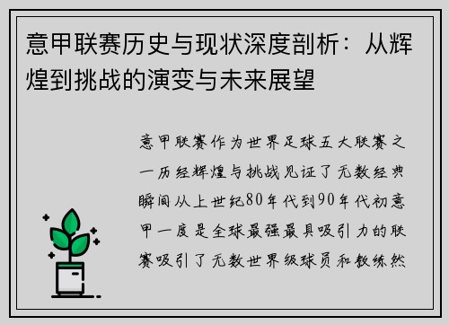 意甲联赛历史与现状深度剖析：从辉煌到挑战的演变与未来展望