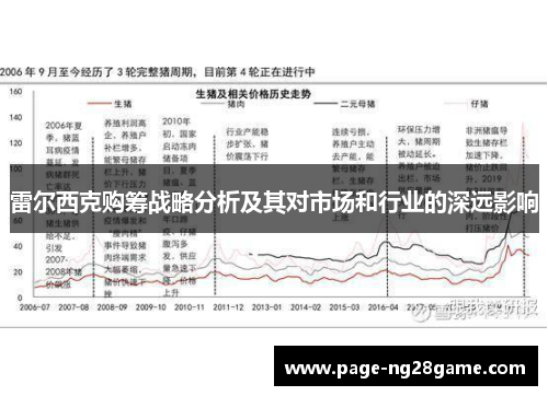 雷尔西克购筹战略分析及其对市场和行业的深远影响