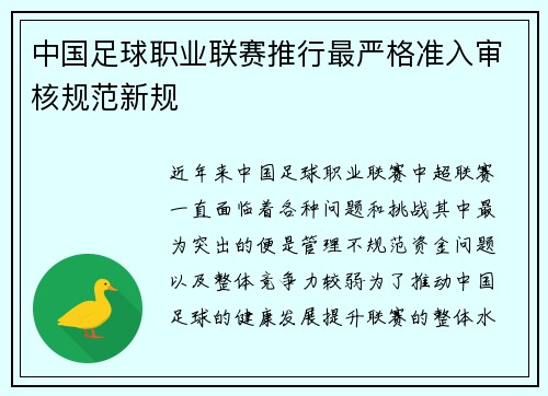 中国足球职业联赛推行最严格准入审核规范新规