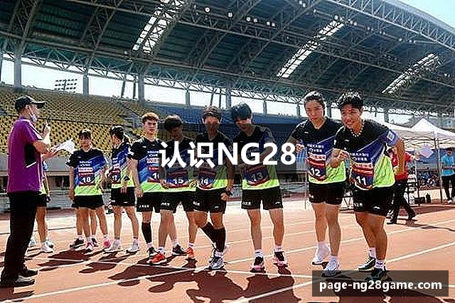 认识NG28